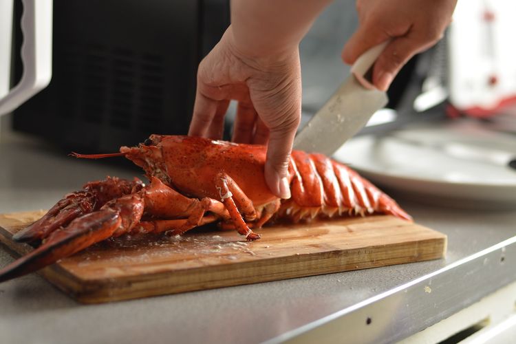 Ilustrasi membuka cangkang lobster. 