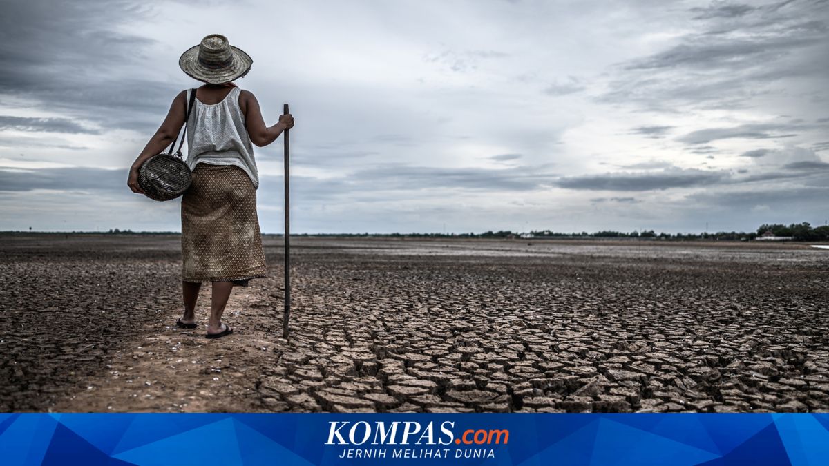 El Nino, BMKG Ingatkan Potensi Kekeringan Pesisir Jawa, Bali Hingga NTT