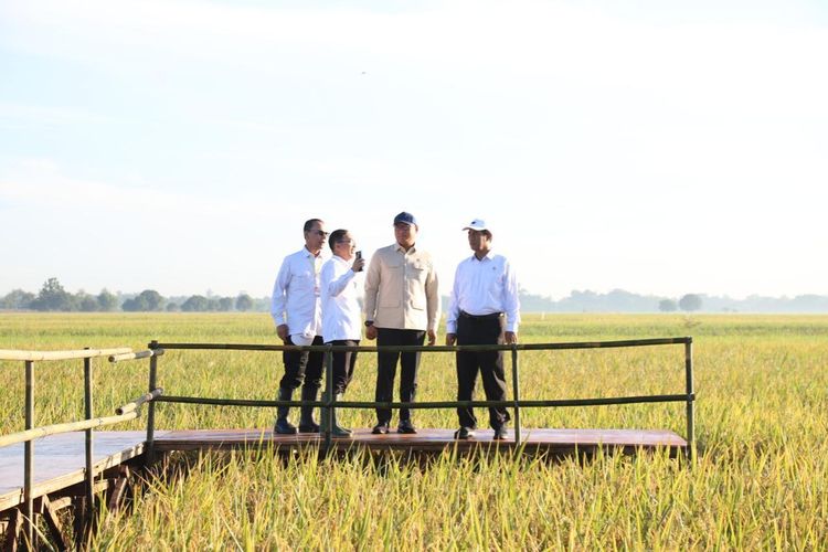 Sok gudang Bulog mencapai angka 3.502.895 ton dari Janurai hingga minggu (4/5/2025). Ini jadi yang tertinggi dalam 57 tahun terakhir.