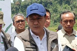 Sebab Tapir ke Jalanan Mesuji dan Disembelih: HTI Meluas, Hutan Sisa Sedikit