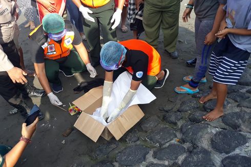 Warga Temukan Janin Bayi di Pantai, Diduga Hasil Hubungan Gelap