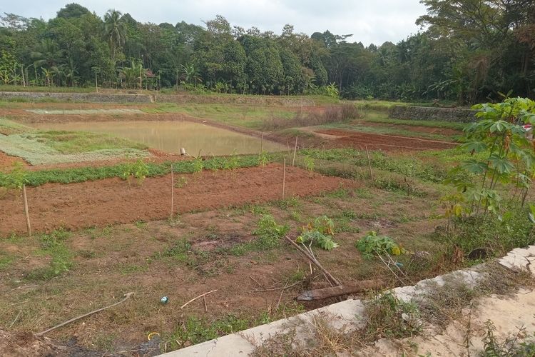 Kemarau di Ciamis, Air Embung Menyusut Drastis, Warga Kekurangan Air Bersih