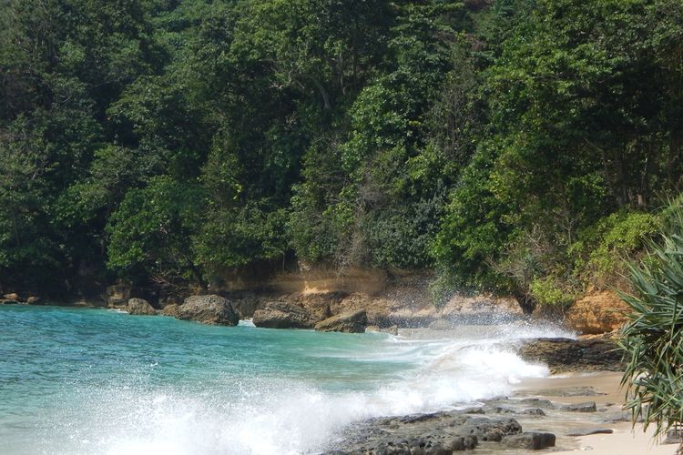 Pantai Sanggar di Tulungagung, Jawa Timur.