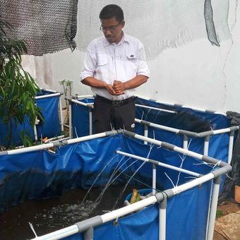 Kolam terpal untuk beternak lele di lahan belakang rumah yang sempit di Citraland, Pangkalpinang, Bangka Belitung, Sabtu (4/11/2023).