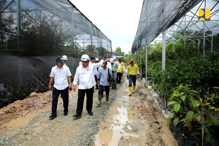 Menteri PUPR Basuki Hadimuljono meninjau nursery pendukung penghijauan koridor Tol IKN, Kalimantan Timur, Rabu (31/5/2023).