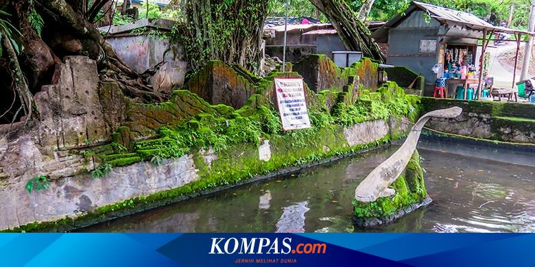 Mancing Ikan Di Sini Bisa Dipenjara Atau Didenda Rp 6 Juta Halaman All Kompas Com