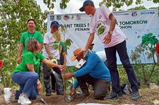 Hijaukan Gunung Sasak Lombok, BCA Tanam 1.000 Pohon Durian 