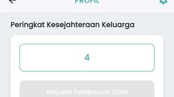 Bagaimana Desil DTSEN Ditentukan? Ini Indikator yang Jadi Pertimbangan