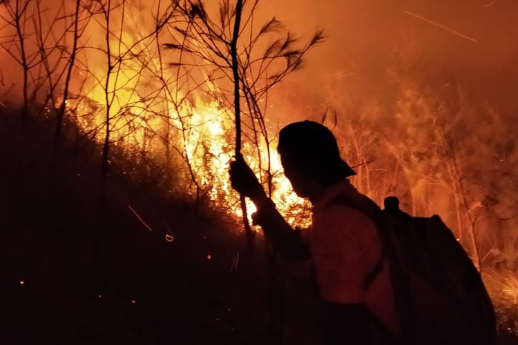 Petugas UPT Tahura Raden Soerjo saat melakukan penjinakan kebakaran hutan di kawasan Gunung Arjuno.