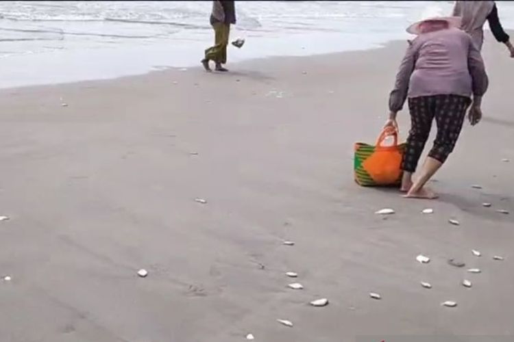 Bangkai ikan yang berserakan di sepanjang pantai di wilayah Kelurahan Koto Jaya Kecamatan Mukomuko, Bengkulu.