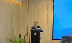 PSEL Masih Picu Kekhawatiran, Pemerintah Diminta Sosialisasi Keamanannya