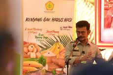 Mentan: Alih Fungsi dari Lahan Pertanian di 2019 Capai 150.000 Hektar 