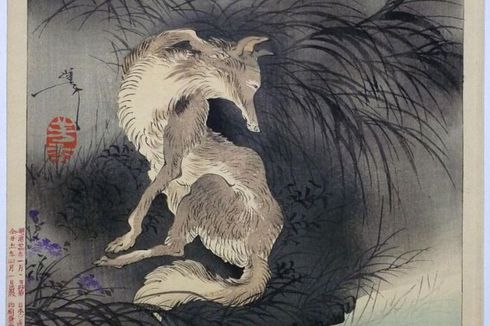 Mengenal Legenda Kitsune, Rubah dari Mitologi Jepang Kuno