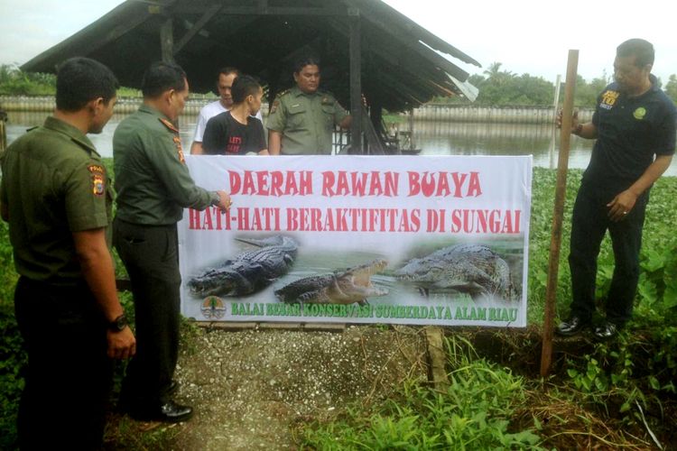 Tim Resort Pekanbaru memasang plang peringatan daerah rawan buaya di kawasan Sungai Siak.