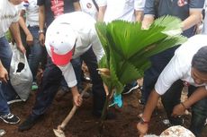 Wagub Djarot Ikut Rapikan Taman Depan Balai Kota yang Rusak Terinjak Pendemo