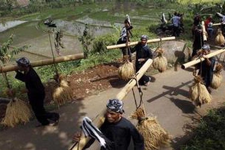 Warga mengarak padi dan hasil bumi lainnya (helaran dongdang) dari Desa Pasir Eurih menuju Kampung Sindang Barang, Kecamatan Taman Sari, Kabupaten Bogor, Minggu (23/1/2011). Arak-arakan ini merupakan rangkaian puncak tradisi Seren Taun Guru Bumi yaitu tradisi tahunan suku Sunda sebagai ungkapan rasa syukur kepada Tuhan atas hasil panen bumi. Acara puncak ditandai dengan memasukkan padi ke dalam lumbung Ratna Inten.  