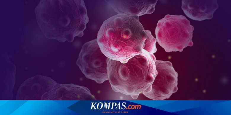 Kanker Penyakit Kronik Yang Merusak Tubuh Apa Saja Penyebabnya