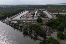 Hutan Mangrove di Pesisir Pantai Timur Sumut Hilang, Masa Depan Laut Terancam (Bagian 1)