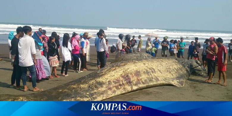 Tolong Jawab No 1 Sampai 9 Brainly Co Id