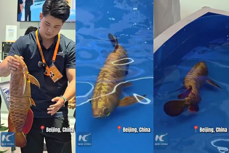 China Bikin Robot Ikan yang Bisa Berenang Sendiri, Bisa Jadi 