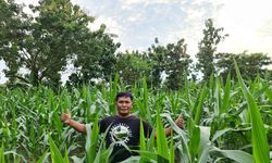 Produktivitas Pertanian di Blora Meningkat, Bukti Pentingnya Embung