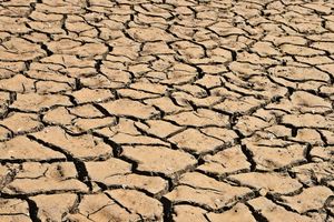 Suhu Lampung Tembus 37 Derajat, BMKG Ingatkan Puncak Kemarau dan El Nino