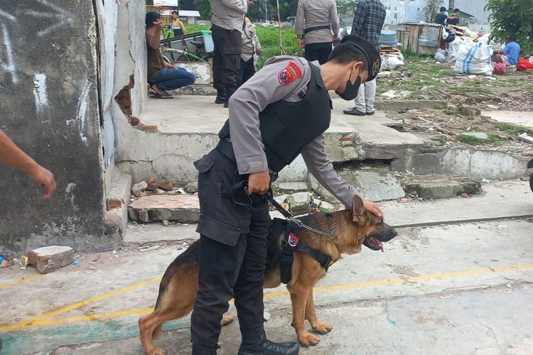 Dua ekor anjing pelacak atau K9, turut serta dalam penggerebekan kampung rawan peredaran narkoba di Kota Bambu Selatan atau biasa disebut Kampung Boncos, di Palmerah, Jakarta Barat, pada Jumat (18/11/2022) sore.