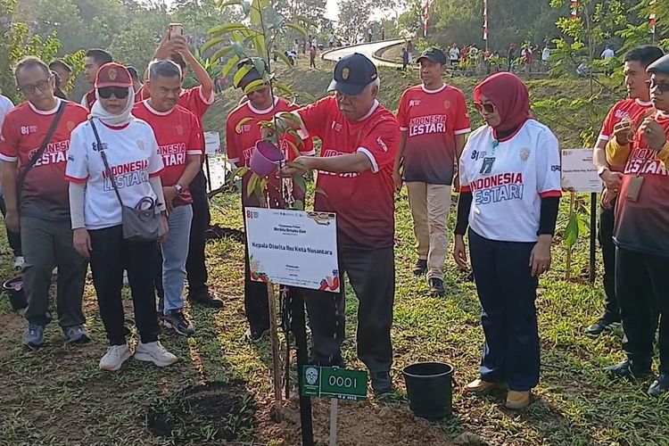 Ambisi Besar Otorita IKN, Kembalikan Alam Borneo Lewat 5 Juta Pohon