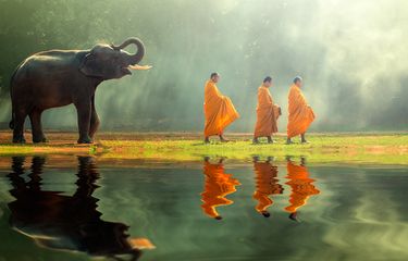 Gajah Thailand menjadi hewan nasional di Thailand.