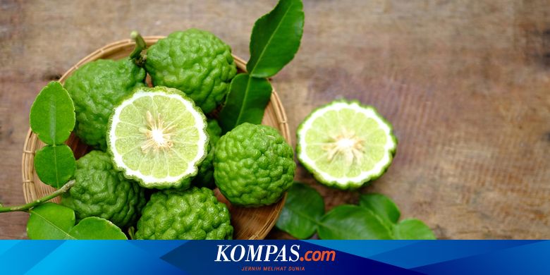 Daun Jeruk Purut, Manfaatnya Seharum Wanginya Halaman All - Kompas.com
