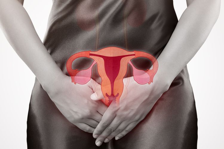 Ilustrasi organ intim wanita yang bisa terserang kanker ovarium dan kanker serviks.