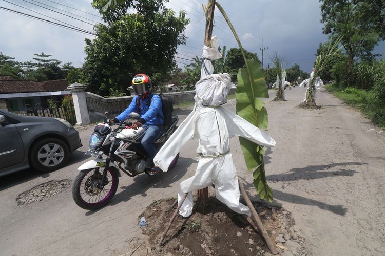 Pengendara sepeda motor melintas di jalan rusak yang ditanami tanaman pisang dan tebu di Desa Janti, Kediri, Jawa Timur, Sabtu (2/4/2022). Warga daerah setempat memberi tanda pada lubang jalan dengan menanam tanaman tebu dan pisang sekaligus memasang baju alat pelindung diri (APD) bekas sebagai bentuk protes karena jalan rusak yang tidak kunjung diperbaiki.