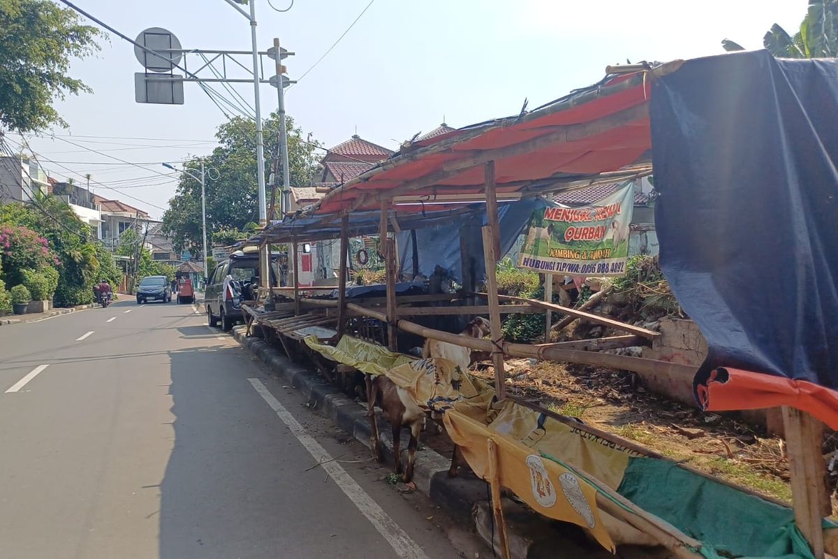Dagangan hewan kurban di atas trotoar Jalan Anggrek, Slipi, Palmerah, Jakarta Barat. 