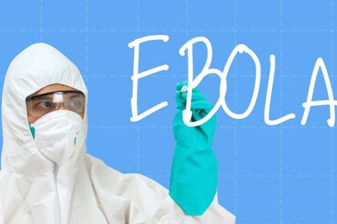 Ebola, Virus yang Kembali Merebak di Kongo, Bagaimana Penularannya?