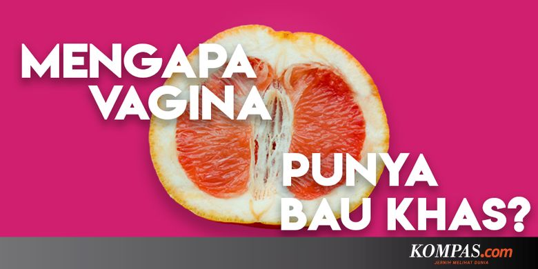INFOGRAFIK: Misteri Tubuh Manusia, Mengapa Vagina Punya ...