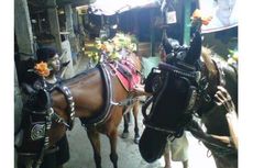 Kereta Kuda untuk Jokowi-JK Akan 