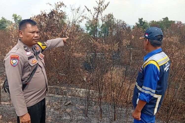 3 Titik Lahan di Tepi Tol Lampung Terbakar, Polisi Waspadai Hotspot Susulan