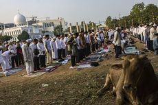 Pengelola Masjid Al-Azhar Tak Akan Bagikan Kupon dan Daging Kurban di Masjid