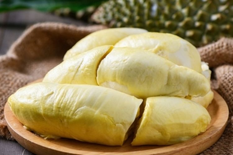 Ilustrasi durian. 