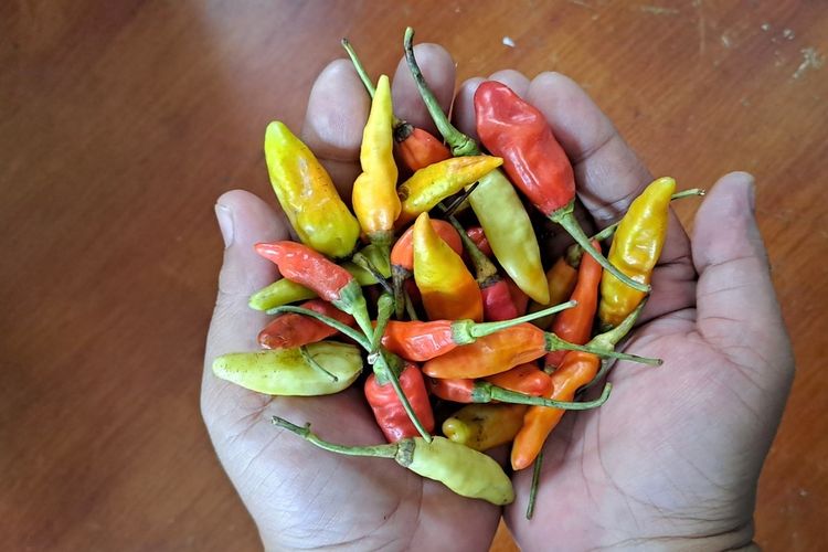 Harga Pangan di Sulawesi Selatan 4 Juni 2025, Cabai Rawit Rp 36.667 per Kg