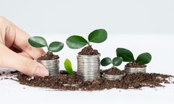 Deloitte Rilis Metode Baru untuk Ukur Nilai Investasi Keberlanjutan
