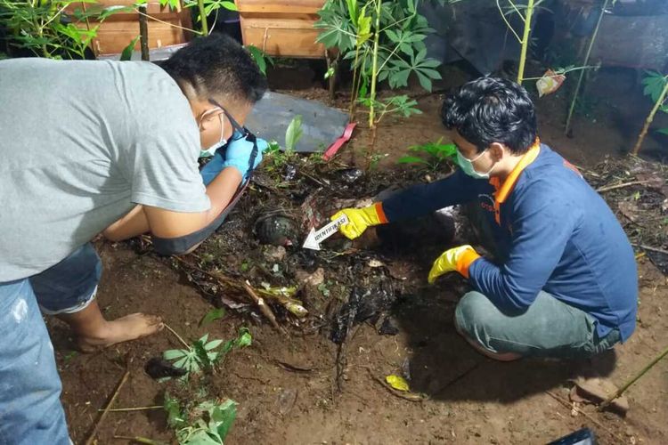 Polisi melakukan olah TKP penemuan mayat MR (13) di kebun warga Dukuh Kenteng, Desa Prigi, Kecamatan Sigaluh, Kabupaten Banjarnegara, Jawa Tengah, Senin (3/2/2020) malam.