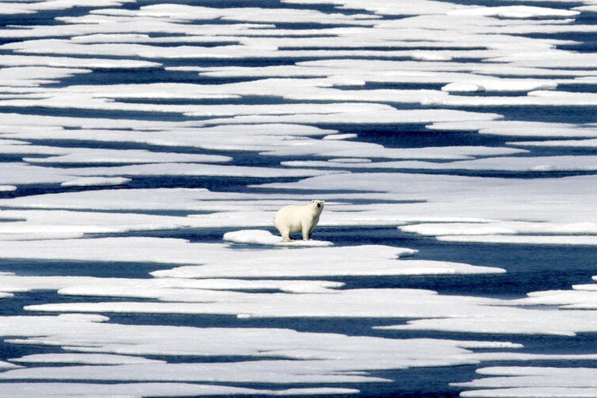 The year 2020 is the hottest in the Antarctic Peninsula in the past three decades indicating the rapid rate of ocean warming, a study by the University of Santiago de Chile out Friday found.