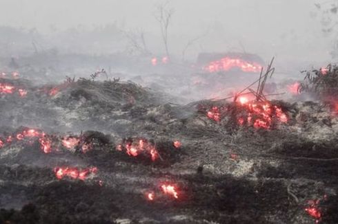 Karhutla Kembali Ancam Riau, 70 Titik Panas Terdeteksi di 9 Kabupaten