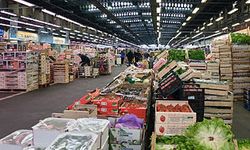 Komoditas Hortikultura Meningkat, Indonesia Wajib Kuasai Pasar Ekspor