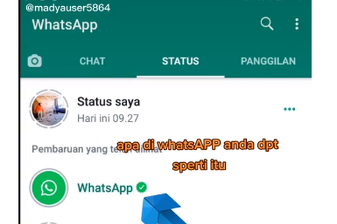 Muncul Story WhatsApp di Status Pengguna, Ada Apa?