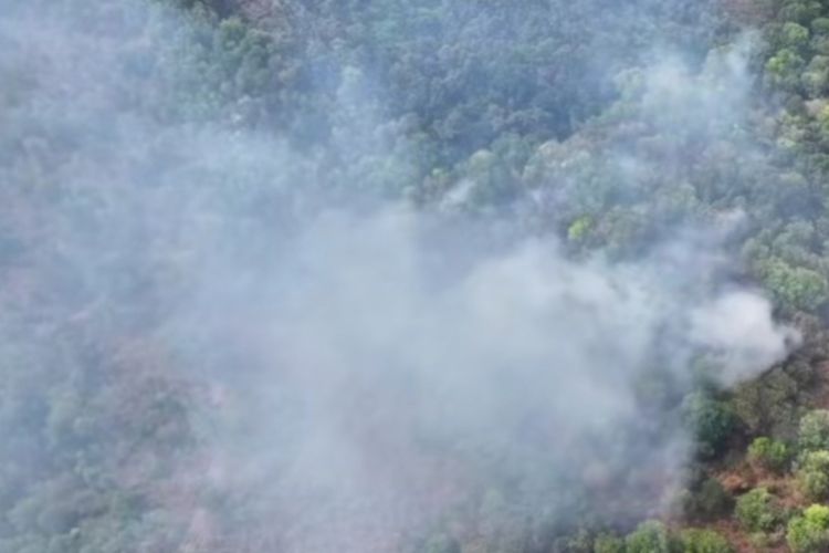 Area Taman Nasional Gunung Ciremai Kuningan Terbakar, Pemadaman Dilakukan Siang dan Malam