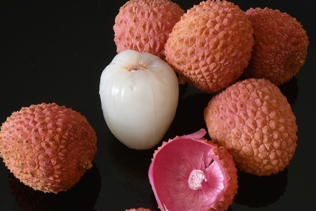 Ilustrasi leci, buah leci.