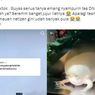 Viral, Unggahan soal Gabungkan DNA Hewan-hewan Berbeda Bentuk Spesies Baru, Bisakah?