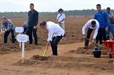 Tanam Tebu di Merauke, Jokowi: Kedaulatan Pangan Harus Jadi Konsentrasi